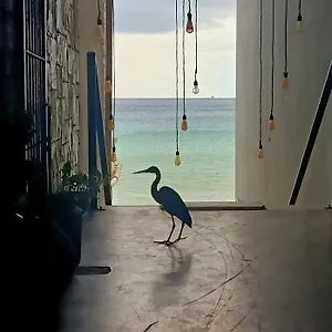 Albergue Auikyani, Cozumel